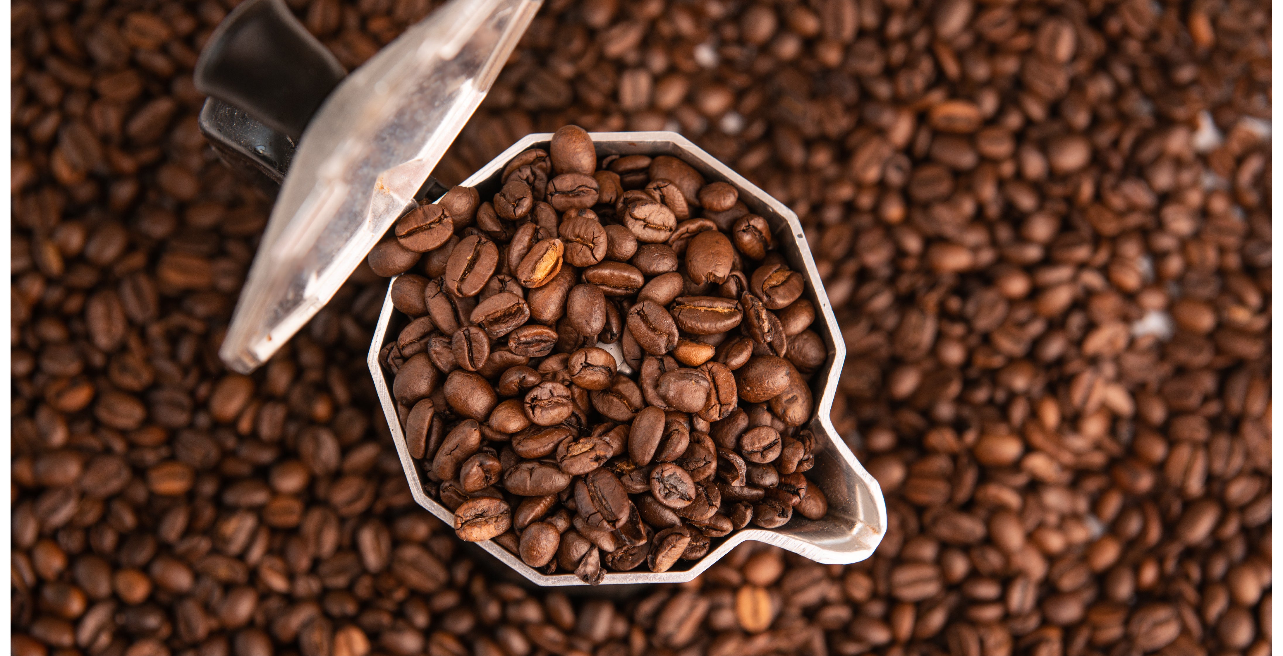 1 sack of coffee beans price deals