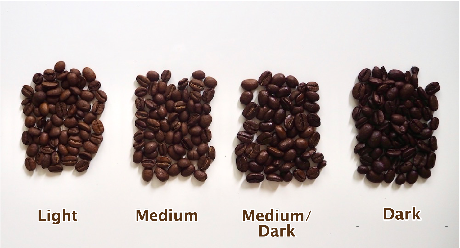Tìm hiểu về hạt cà phê Arabica - Đặc điểm, ưu điểm và cách chọn mua
