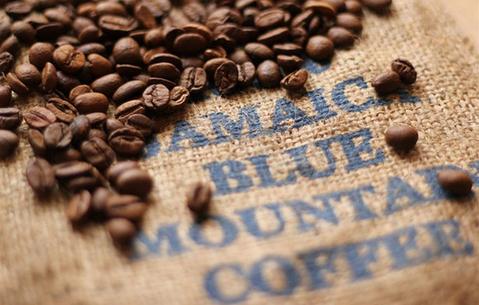 Blue mountain clearance coffee beans
