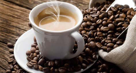 Buying the Best Gourmet Coffee Beans Top Arabica Coffee Hayman