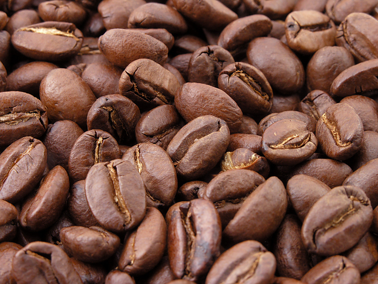 Best coffee hotsell whole bean