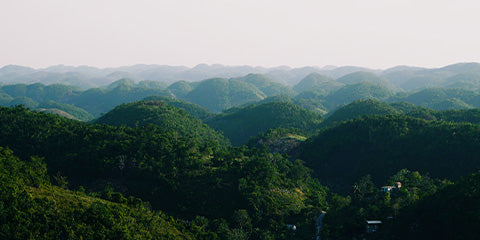 kafoblogo, kafonovaĵoj, Blua Monta Kafo-Granoj, blua montara kafo, jamajka kafo, jamajka Blua montara kafo, jamajka blua montara kafo, Jamajka Blua montara kafo