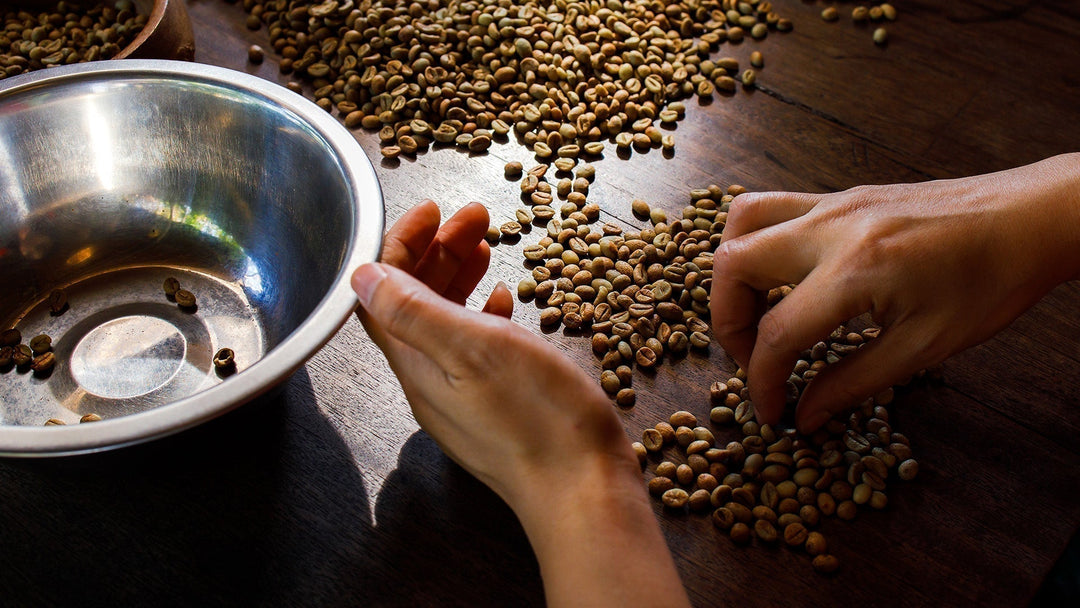 Best Coffee Beans in the World