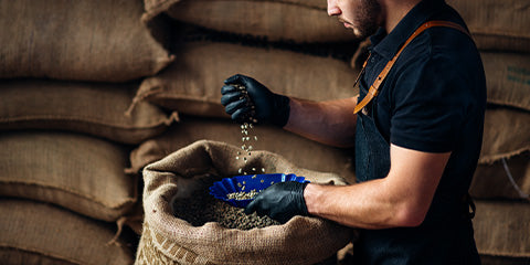 Jämföra de bästa kaffebönorna i världen: Smakanteckningar
