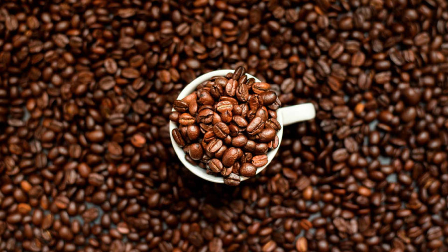 Hayman Coffee® | The World's Top 1% Specialty Coffees | Fresh Roasted