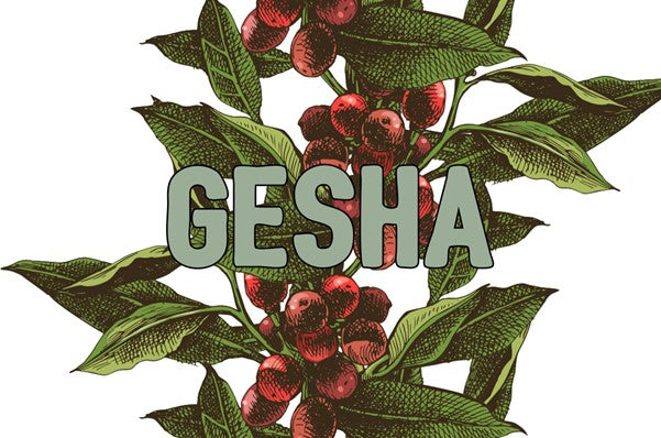 Elektroniska presentkort, Panama geisha kaffebönor, Geisha kaffe, Gesha kaffe
