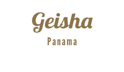 Panama Geisha kaffe, geisha kaffe, gesha kaffe, geisha kaffebönor