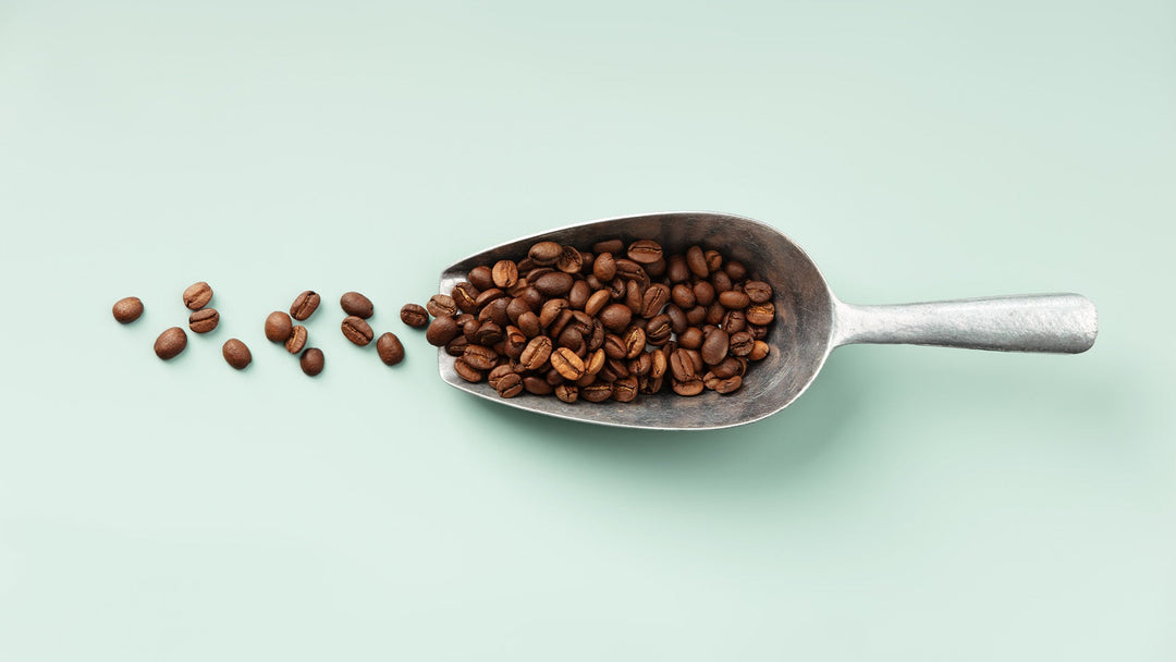 Specialty Coffee