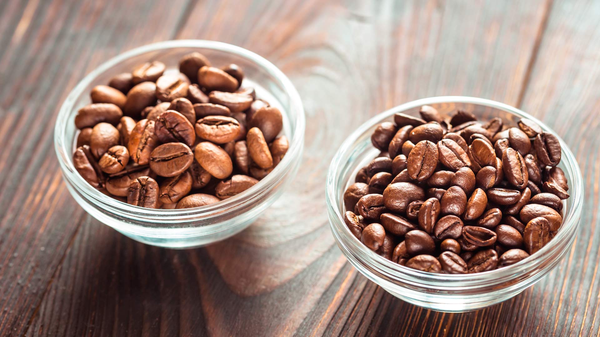Normal Cofee What Is the Difference Between Specialty Coffee and Normal Coffee ...