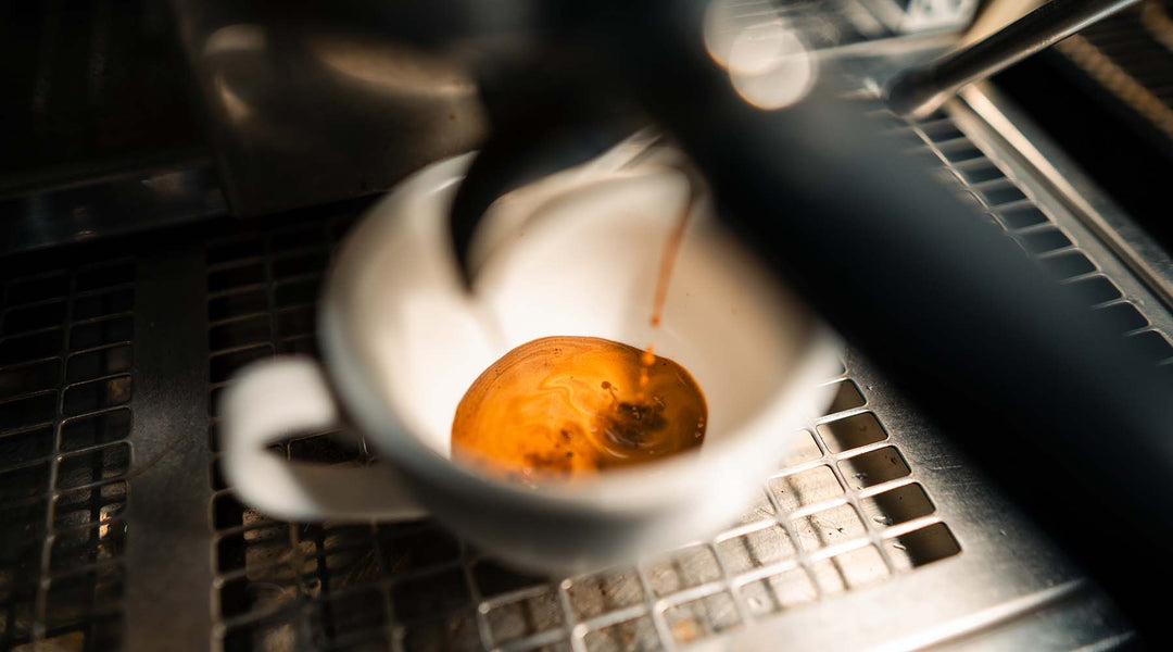 Utforska den oöverträffade smaken och kvaliteten hos Premium Nespresso Pods, perfekta för kaffekännare som söker förträfflighet i varje kopp.