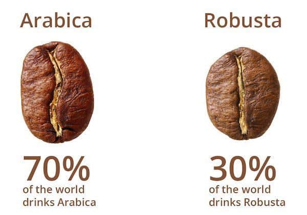 arabica, arabica kaffe, robusta, robusta kaffe, gourmetkaffe, typer av kaffebönor