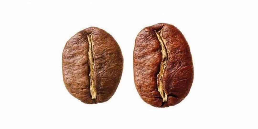 arabica kafo, arabica, robusta kafo, robusta, frandaĵa kafo, specoj de kafosemoj