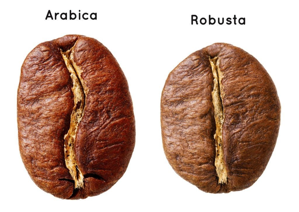 arabica kafo, specoj de kafo, specoj de kafosemoj, frandaĵa kafo, robusta kafo