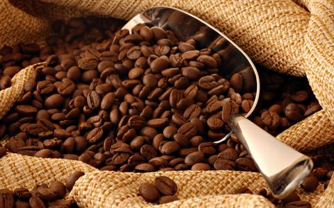 melhores grãos de café do mundo, café arábica, café robusta, tipos de grãos de café, tipos de café, arábica, robusta