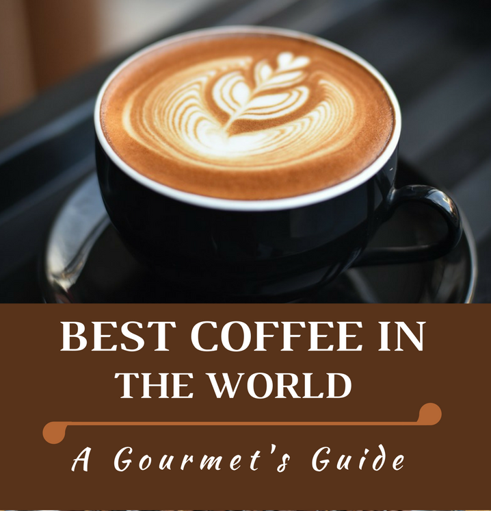 The 5 Best Coffees Beans in the World in 2023 – Hayman Coffee