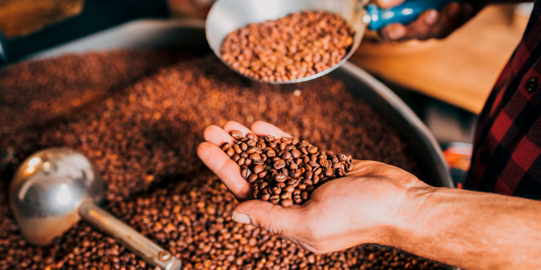 melhor café, melhores grãos de café, melhores grãos de café do mundo, armazenar café, armazenar grãos de café