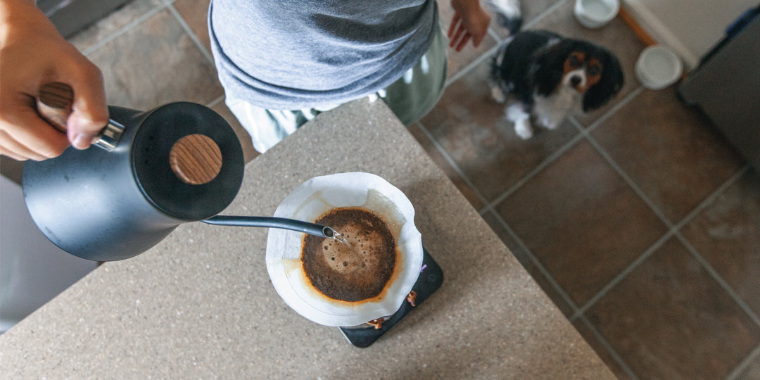 chemex, chemex coffee, gourmet coffee, melhores grãos de café do mundo