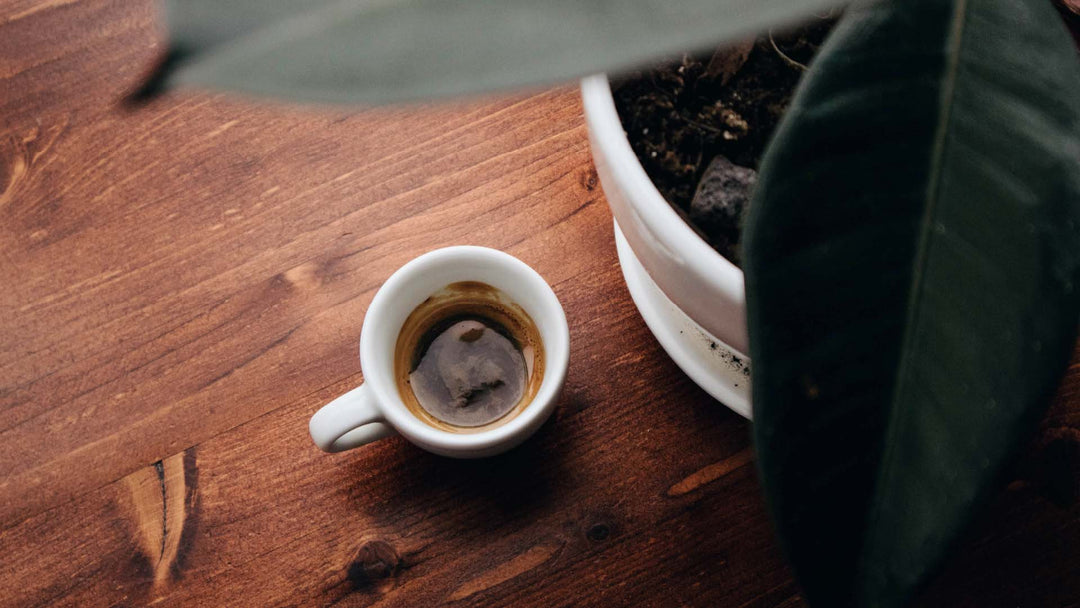 espresso bean subscription
