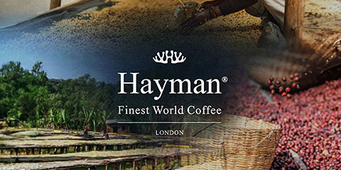 Etiopiskt kaffe, Etiopiskt kaffe, Etiopien Yirgacheffe, Yirgacheffe kaffe, specialkaffe, gourmetkaffe, premiumkaffe, nyrostat kaffe, färskt kaffe, arabica kaffe