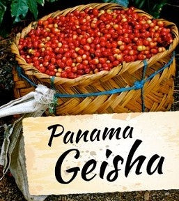 geisha kaffe, panama geisha kaffebönor, gesha kaffe, panama geisha, kaffekvarn