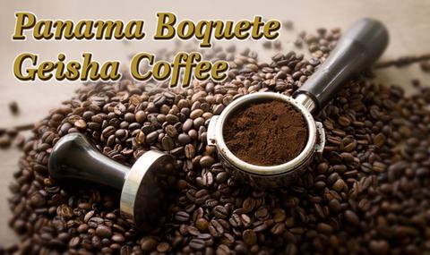 geisha coffee, panama geisha coffee, gesha coffee, geisha coffee beans