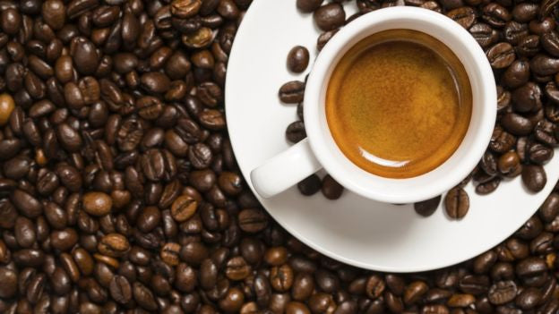 café gueixa, café panamá gueixa, café gesha, grãos de café gueixa, café especial, café terceira onda