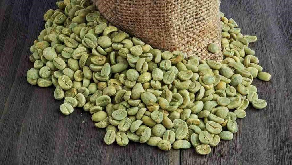 grãos de café verdes, café verde, torrador de café, grãos de café não torrados, grãos de café crus