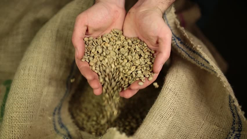 gröna kaffebönor, råa kaffebönor, orostade kaffebönor, kafferosteri