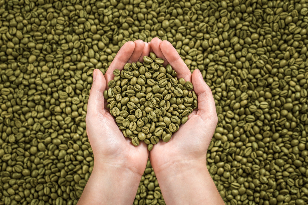 green coffee, green coffee beans, coffee roaster, unroasted coffee beans, raw coffee beans