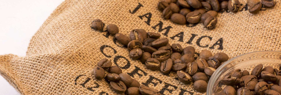 Jamaicansk kaffehistoria bakom jamaicansk Blue Mountain Coffee