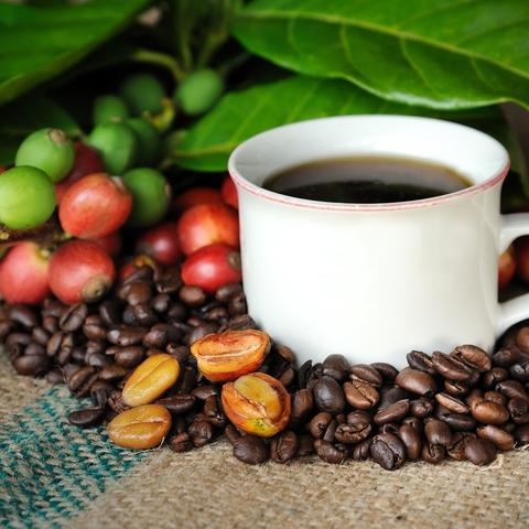 kona kaffe, hawaiianskt kaffe, bästa kona kaffe, kona kaffebönor, kona kaffe hawaii