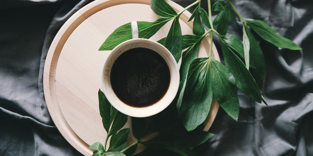 café orgânico, melhores grãos de café do mundo