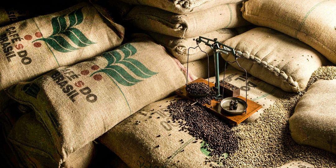 ekologiskt kaffe, världens bästa kaffebönor
