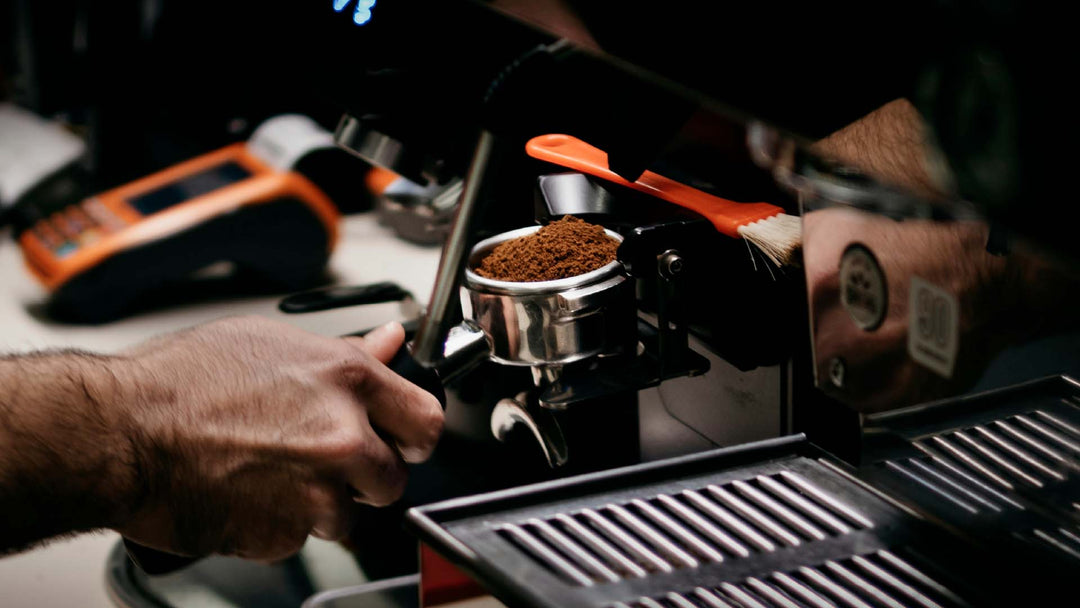 recommended coffee beans