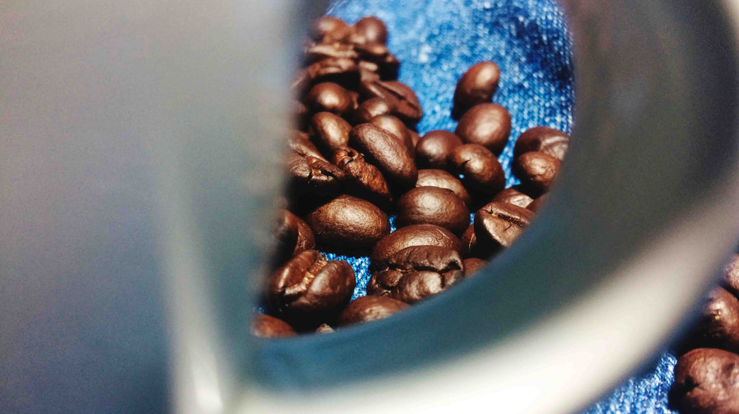 panama gesha coffee