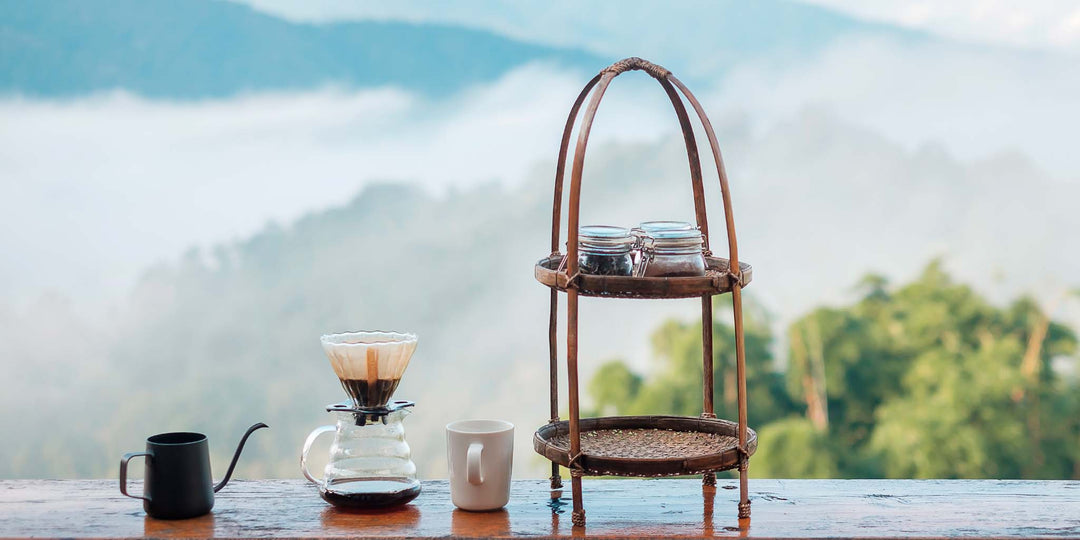 cartões-presente virtuais, melhores grãos de café, melhores grãos de café do mundo, café jamaicano azul da montanha, café jamaicano, café azul da montanha, café gueixa, café gesha, café panamá gueixa, grãos de café panamá gueixa